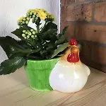 Aux Deux Hirondelles *