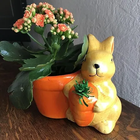 Casa de Férias Aux Deux Hirondelles