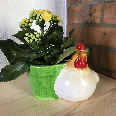 Aux Deux Hirondelles *