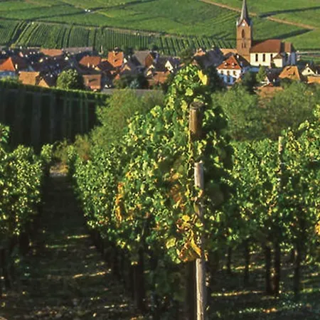 Holiday home Aux Deux Hirondelles *