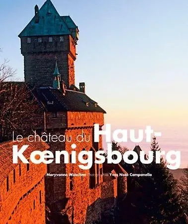 Aux Deux Hirondelles * Houssen